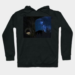 Max the lizard stargazing from a tree Hoodie